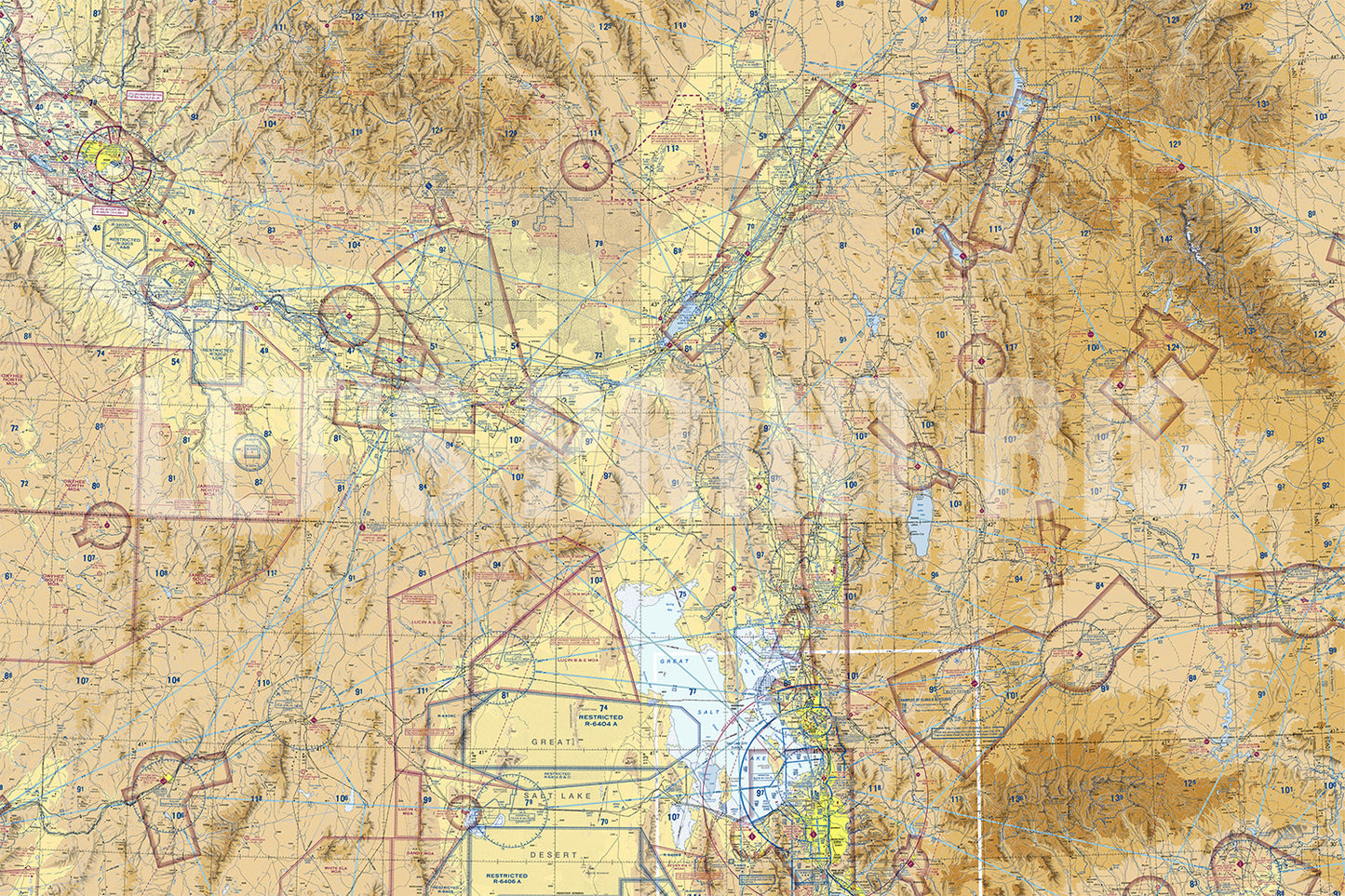 Aeronautical Chart Salt Lake City Wall Mural