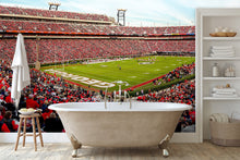 Sanford Football Stadium Georgia Wall Mural