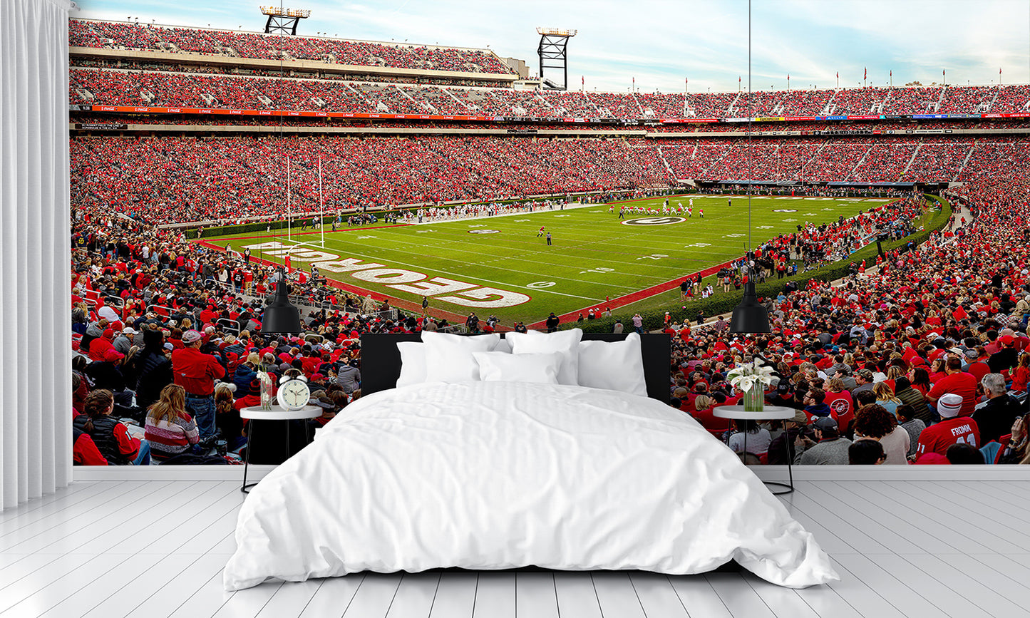 Sanford Football Stadium Georgia Wall Mural