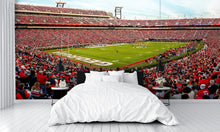 Sanford Football Stadium Georgia Wall Mural
