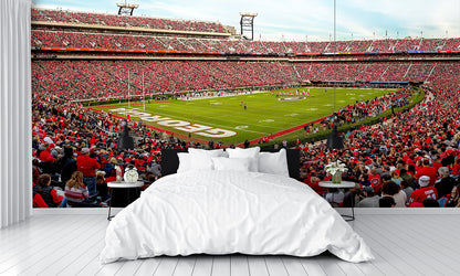 Sanford Football Stadium Georgia Wall Mural