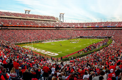 Sanford Football Stadium Georgia Wall Mural