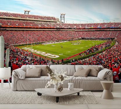 Sanford Football Stadium Georgia Wall Mural