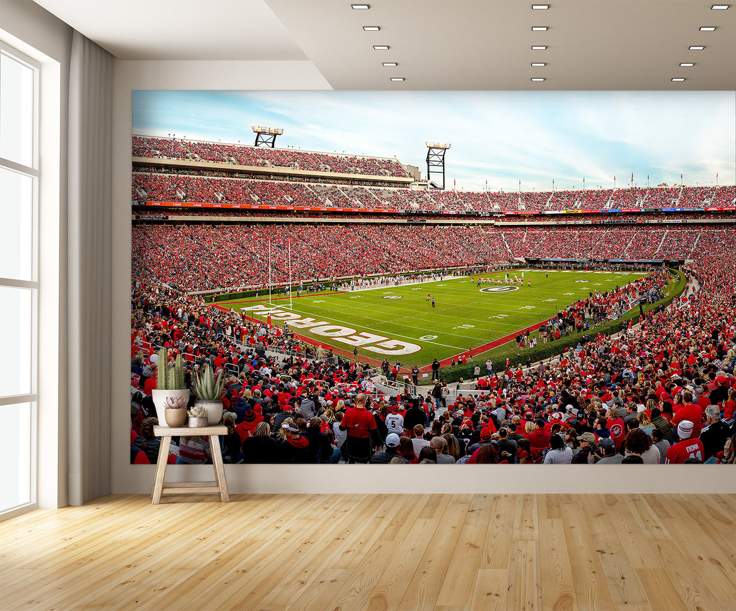 Sanford Football Stadium Georgia Wall Mural