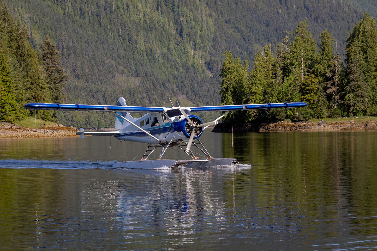 Seaplane Landing Ketchikan Alaska Wall Mural