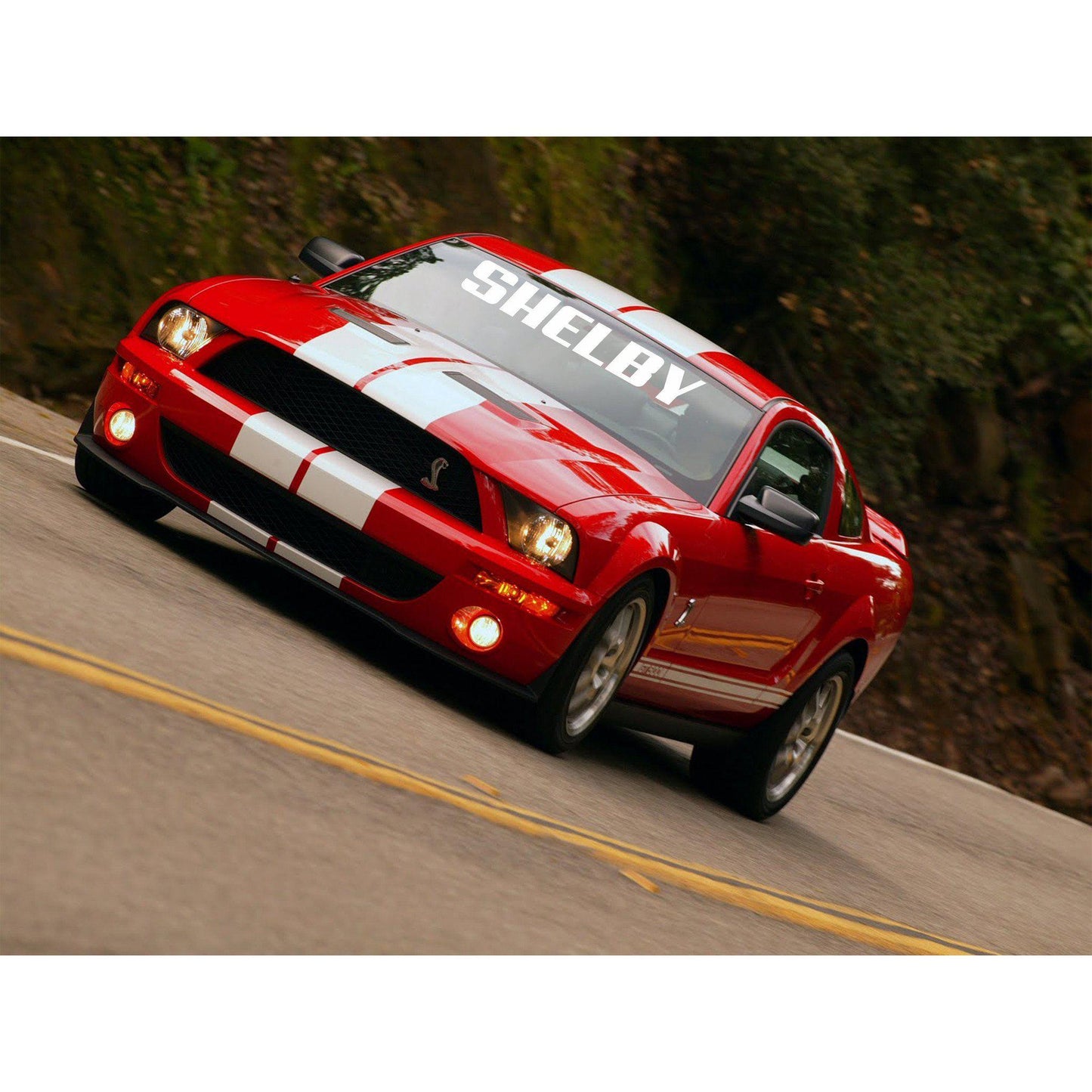 Windshield Decal "SHELBY" - Let's Print Big