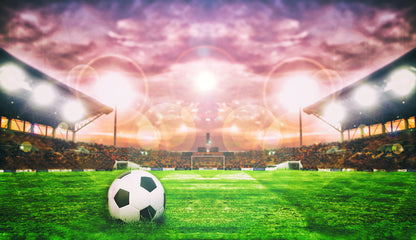 Soccer Ball On Green Field of Football Stadium Wall Mural