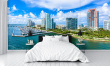 Aerial View South Pointe Park Pier Wall Mural