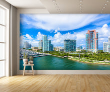 Aerial View South Pointe Park Pier Wall Mural