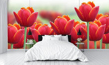 Spring Tulip Flower Wall Mural