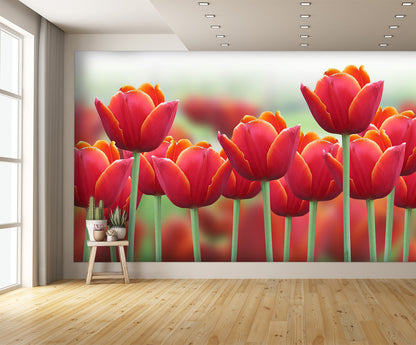 Spring Tulip Flower Wall Mural