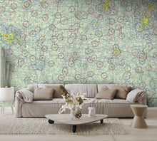 Aeronautical Chart St Louis Wall Mural