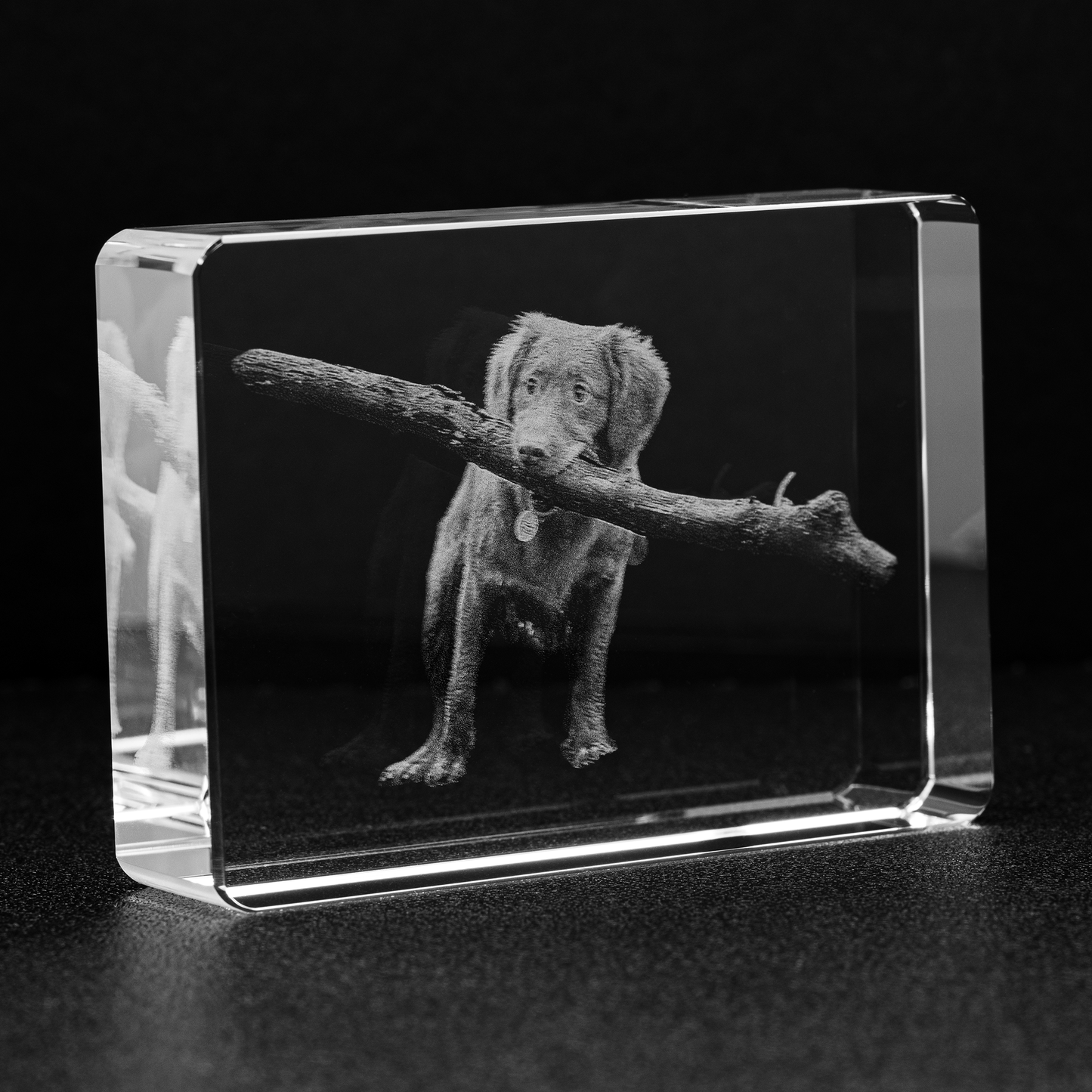 Custom Photo Engraved Crystal - Stadium