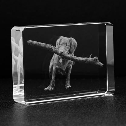 Custom Photo Engraved Crystal - Stadium