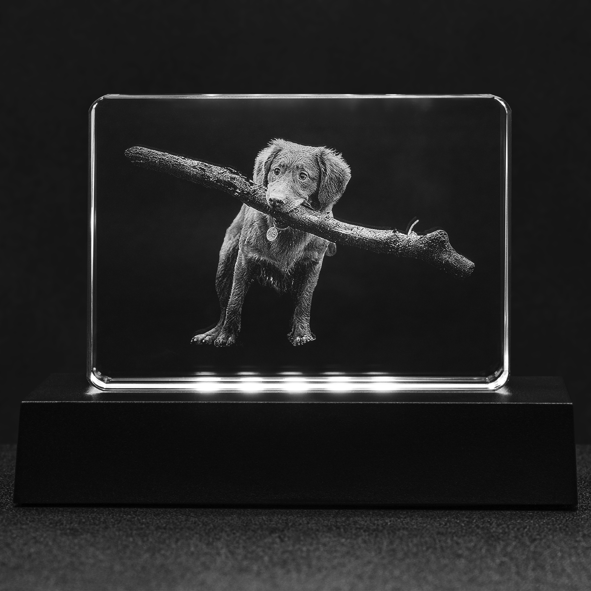 Custom Photo Engraved Crystal - Stadium