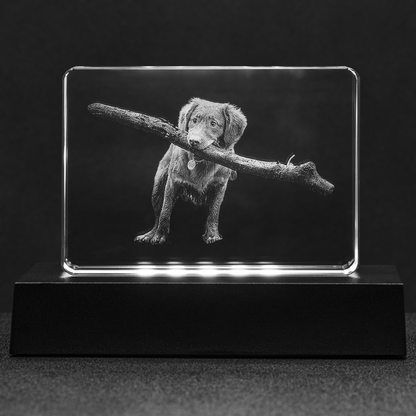 Custom Photo Engraved Crystal - Stadium