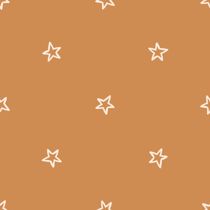 Stars Wall Mural