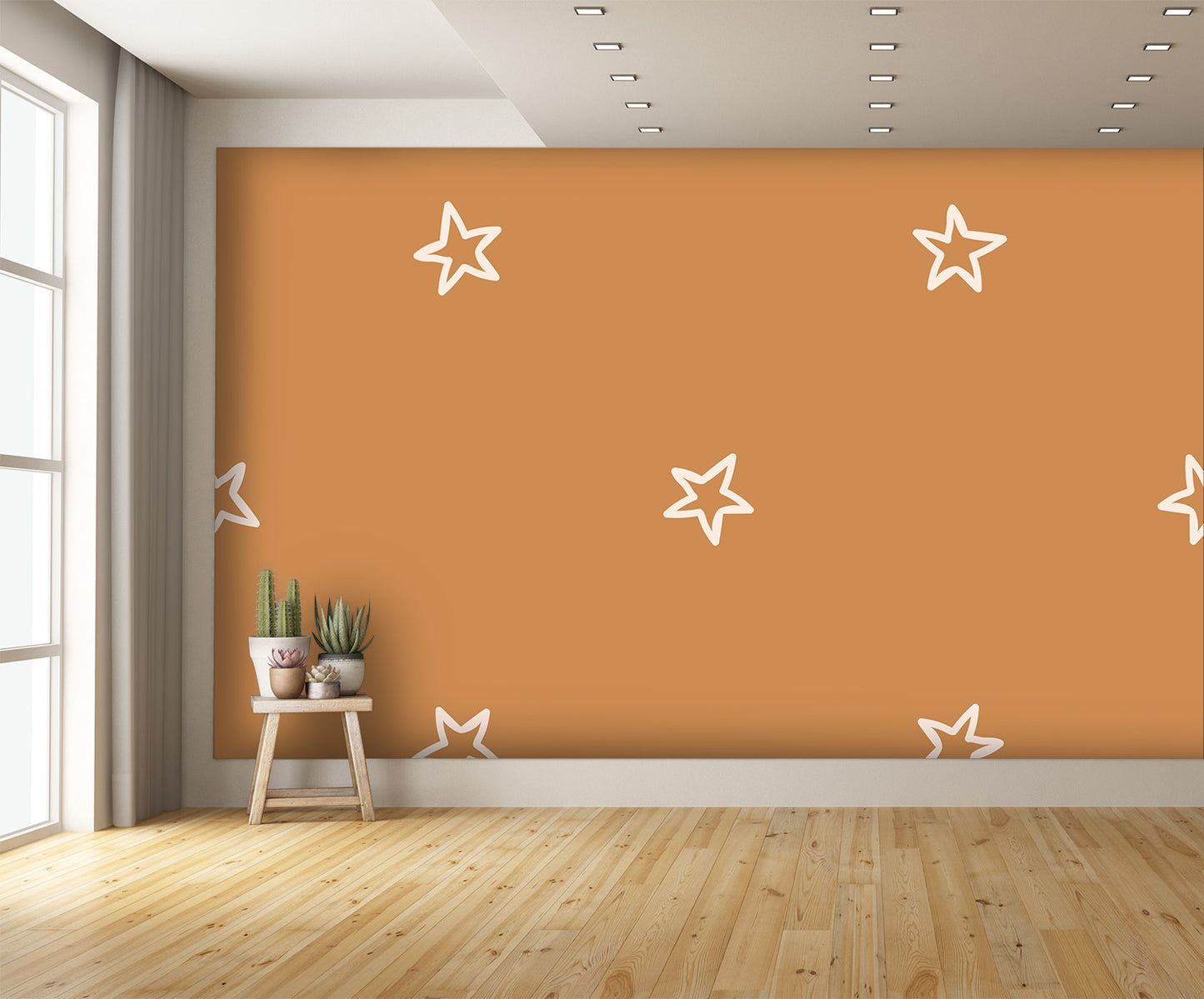 Stars Wall Mural