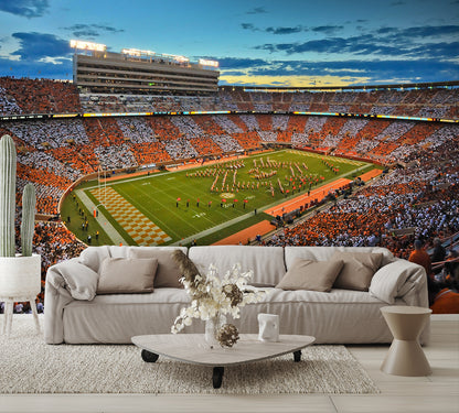 Tennessee Neyland Football Stadium Wallpaper Mural living room couch