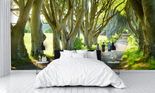 The Dark Hedges in Nothern Ireland Wall Mural
