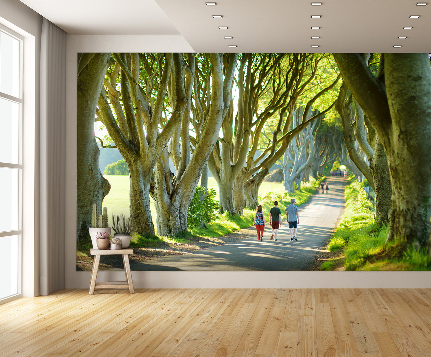 The Dark Hedges in Nothern Ireland Wall Mural