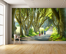 The Dark Hedges in Nothern Ireland Wall Mural