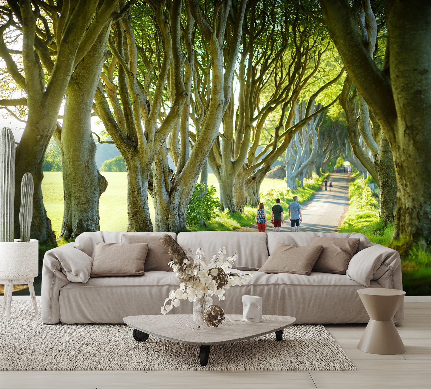 The Dark Hedges in Nothern Ireland Wall Mural