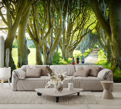 The Dark Hedges in Nothern Ireland Wall Mural