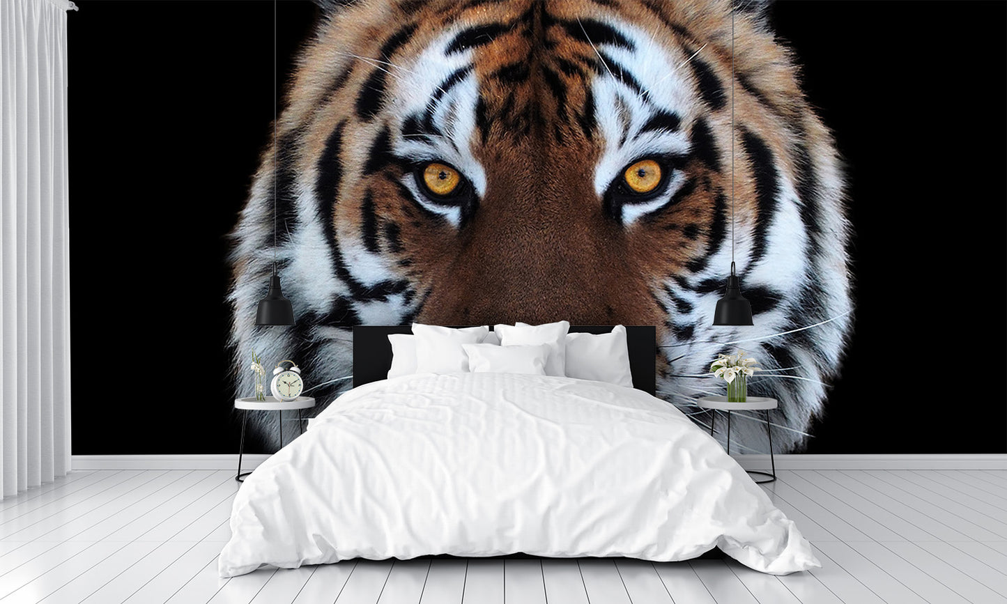 Tiger Face Open Mouth Wall Mural