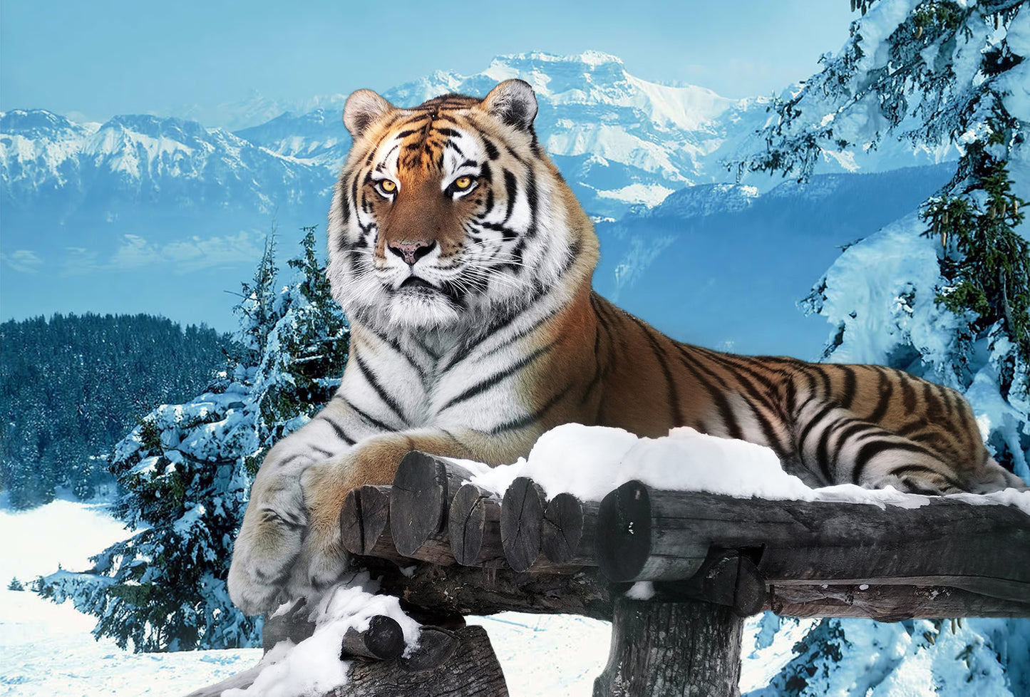 Tiger in the Snow and Mountains Wall Mural