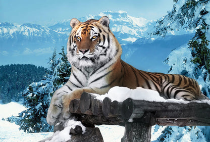Tiger in the Snow and Mountains Wall Mural