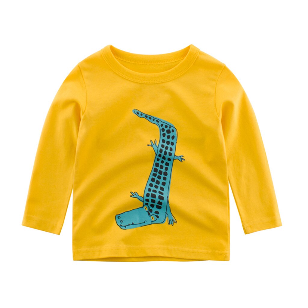 Toddler Kids Baby Boy T-Shirt Long Sleeve Cartoon
