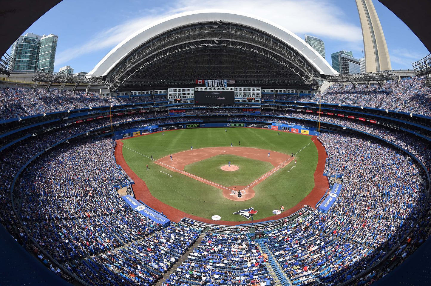 Toronto Blue Jays Rogers Stadium Fisheye Baseball Diamond Field Custom Designed Wallpaper Mural