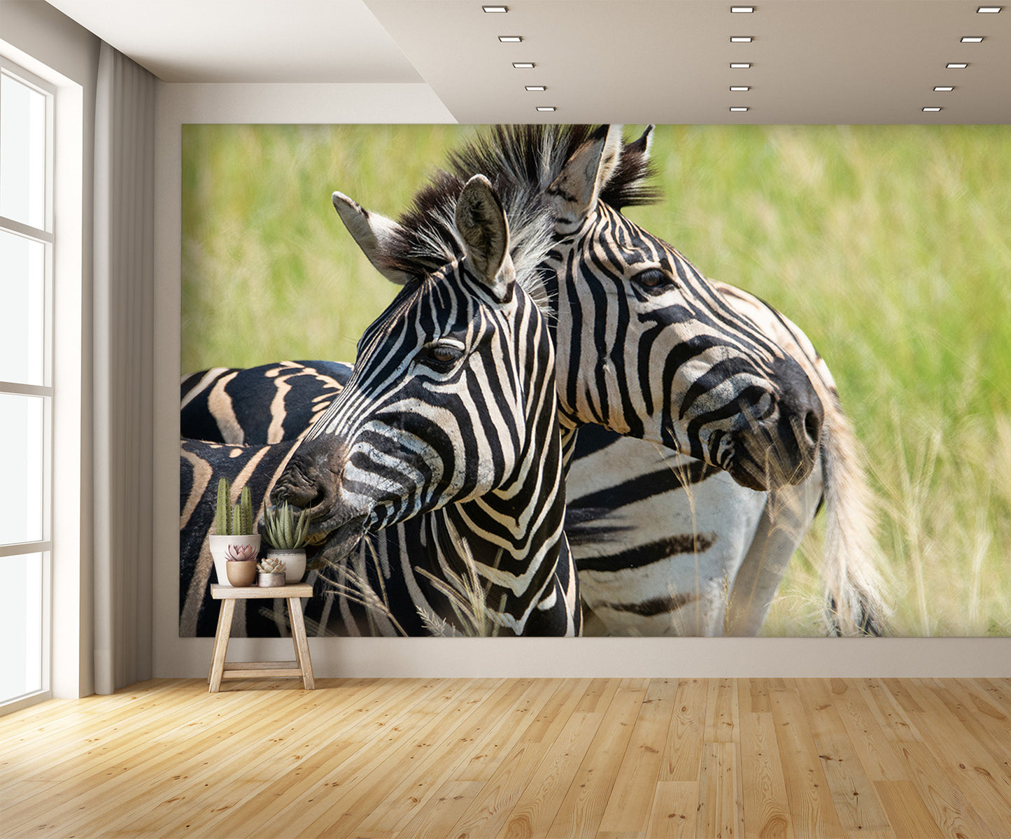 Two Headed Zebra Wall Mural