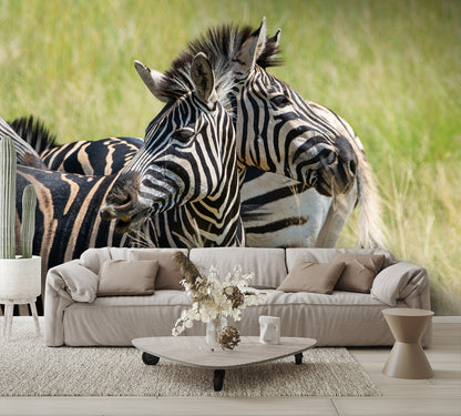 Two Headed Zebra Wall Mural