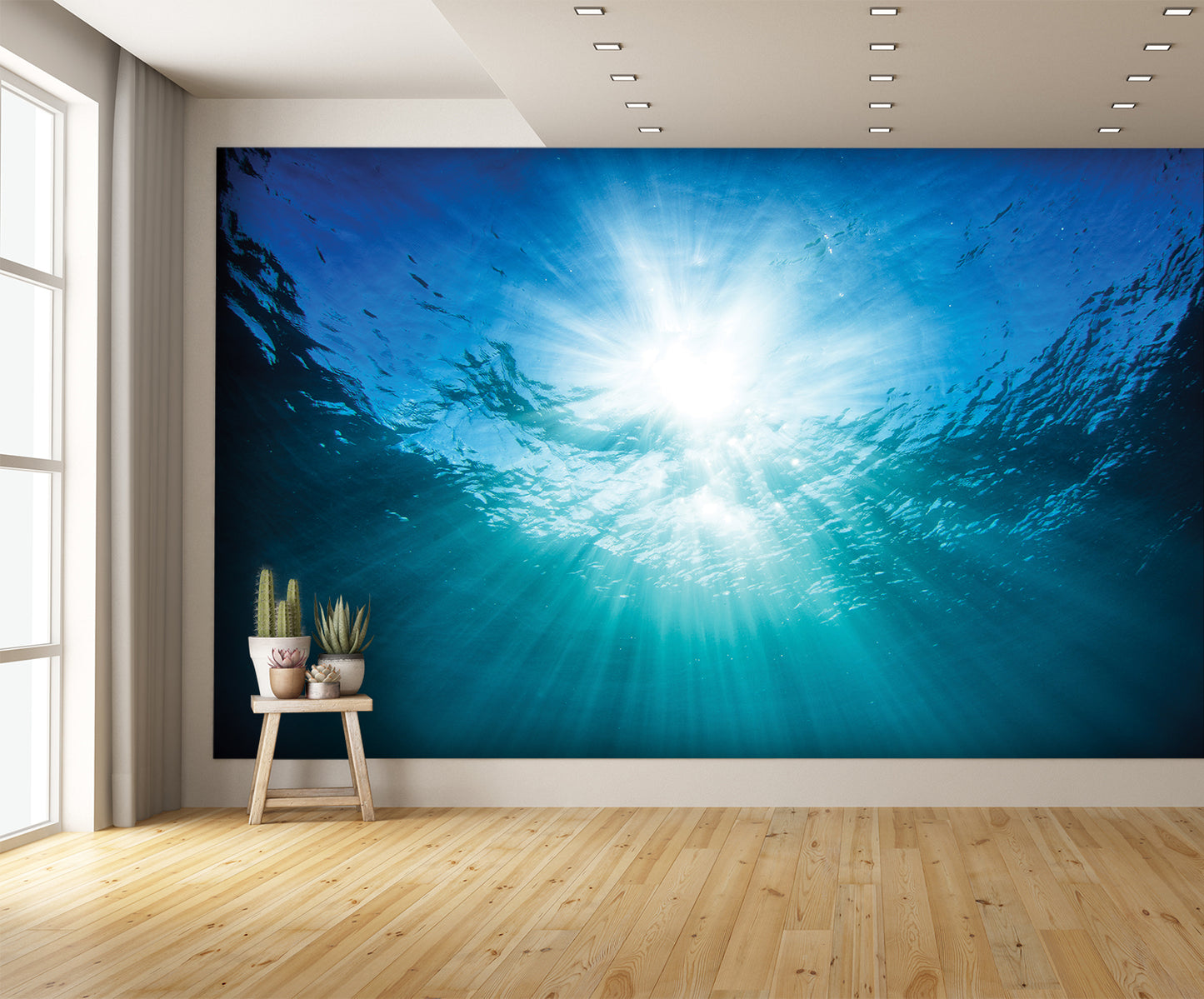 Under Water Looking Up Ceiling Mural