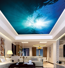 Under Water Looking Up Ceiling Mural
