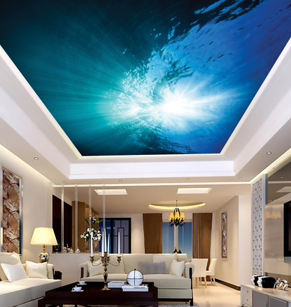 Under Water Looking Up Ceiling Mural