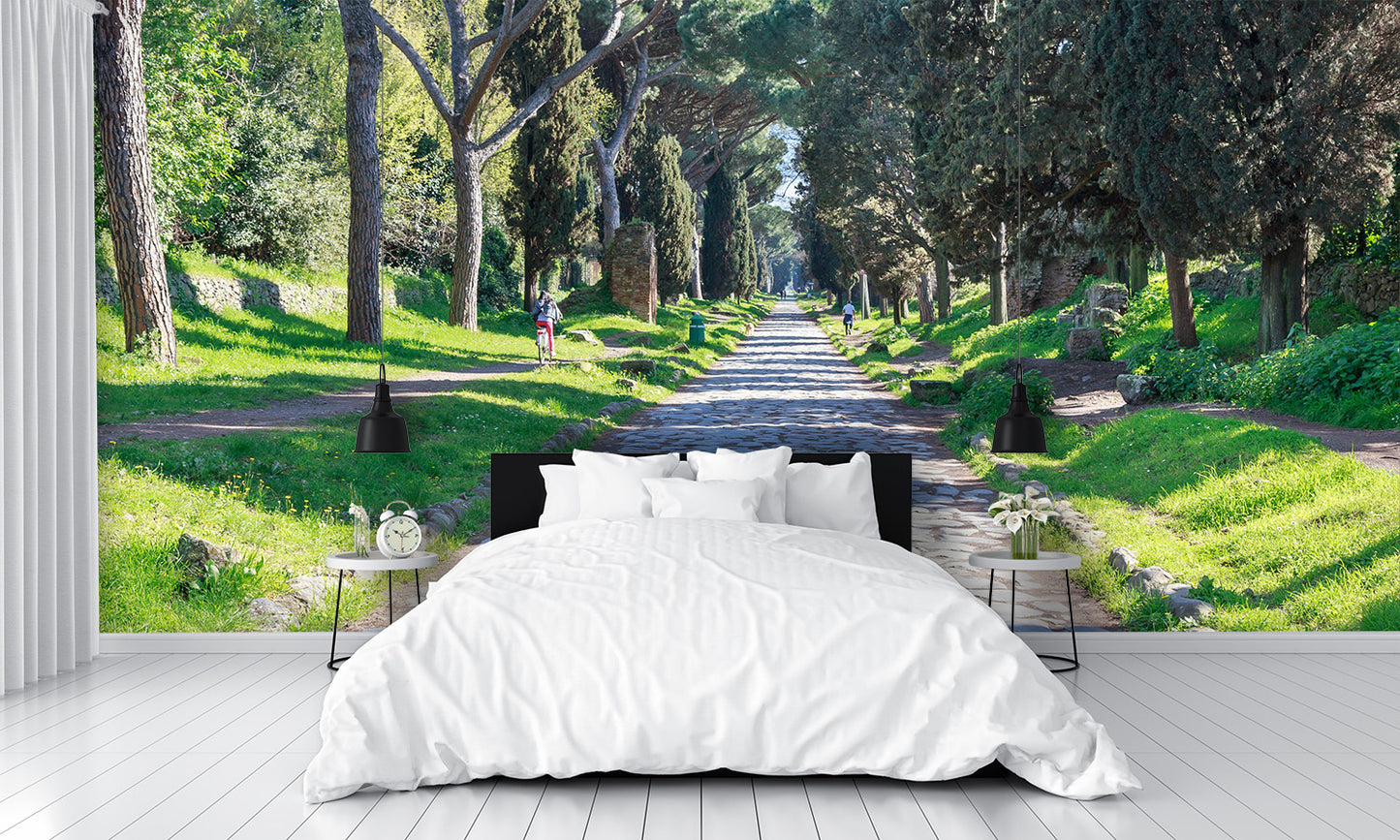 Via Appia Antica Rome Wall Mural