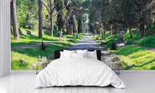 Via Appia Antica Rome Wall Mural