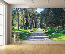 Via Appia Antica Rome Wall Mural