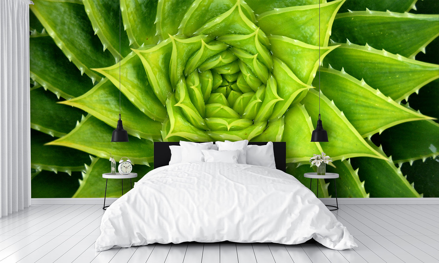 Vivid Green Spiral Aloe Plant Wall Mural