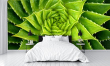 Vivid Green Spiral Aloe Plant Wall Mural