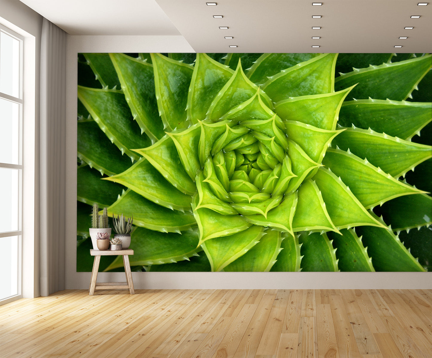Vivid Green Spiral Aloe Plant Wall Mural