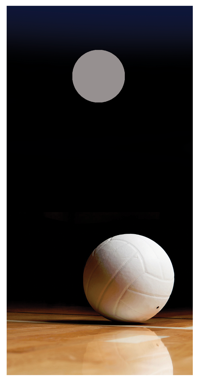Volleyball Wood Floor Cornhole Board Decal Wraps