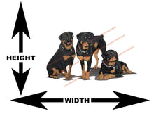 3 Rottweilers Art Wall Decal