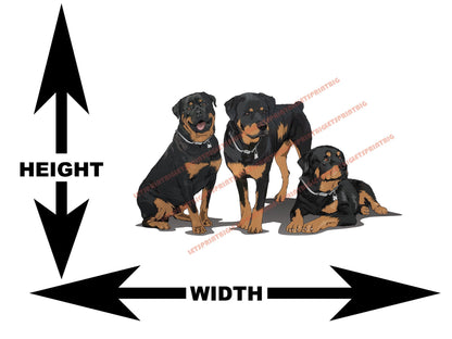 3 Rottweilers Art Wall Decal