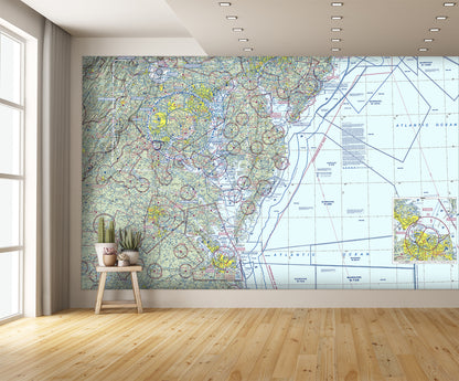 Aeronautical Chart Washington Wall Mural