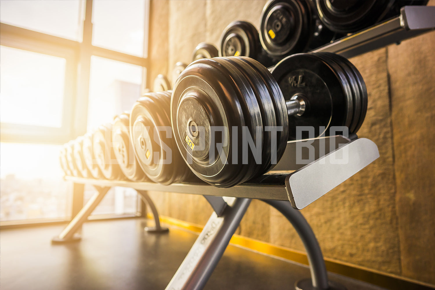 Custom Designed Weight Room Wallpaper Workout Wall Mural