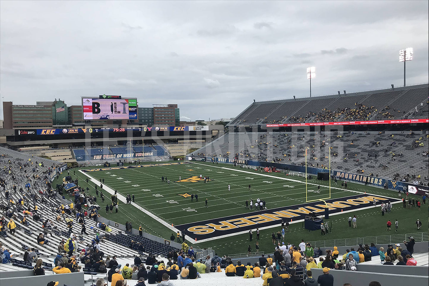 Mountaineer Field at Milan Puskar Stadium Football Wall Mural
